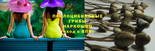 первитин Лабытнанги