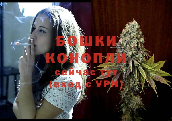 первитин Лабытнанги